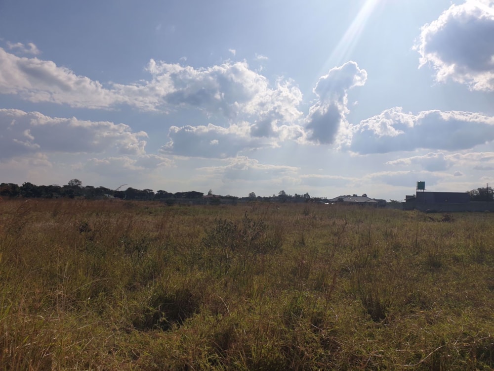 Farm vacant land for sale in Northern Province, Zambia - 3ZA1571186 Farm vacant land for sale in Northern Province, Zambia - 3ZA1571186