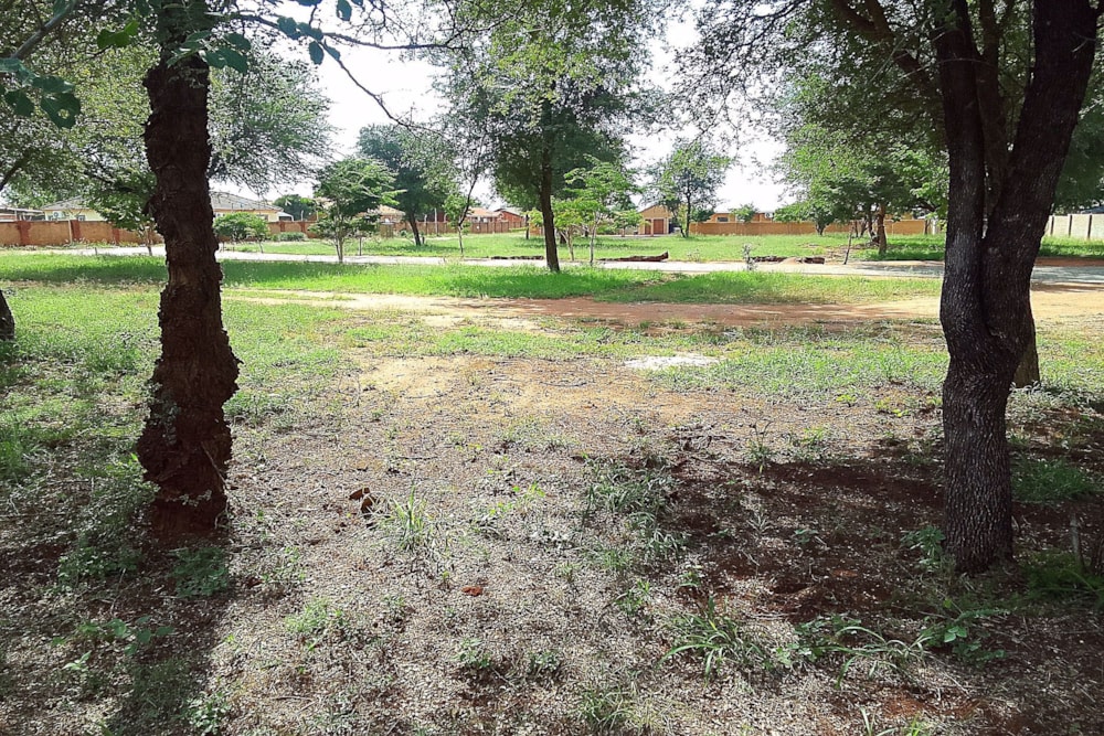 Vacant land for sale in Ellisras (Lephalale) - 1ER1571255 Vacant land for sale in Ellisras (Lephalale) - 1ER1571255