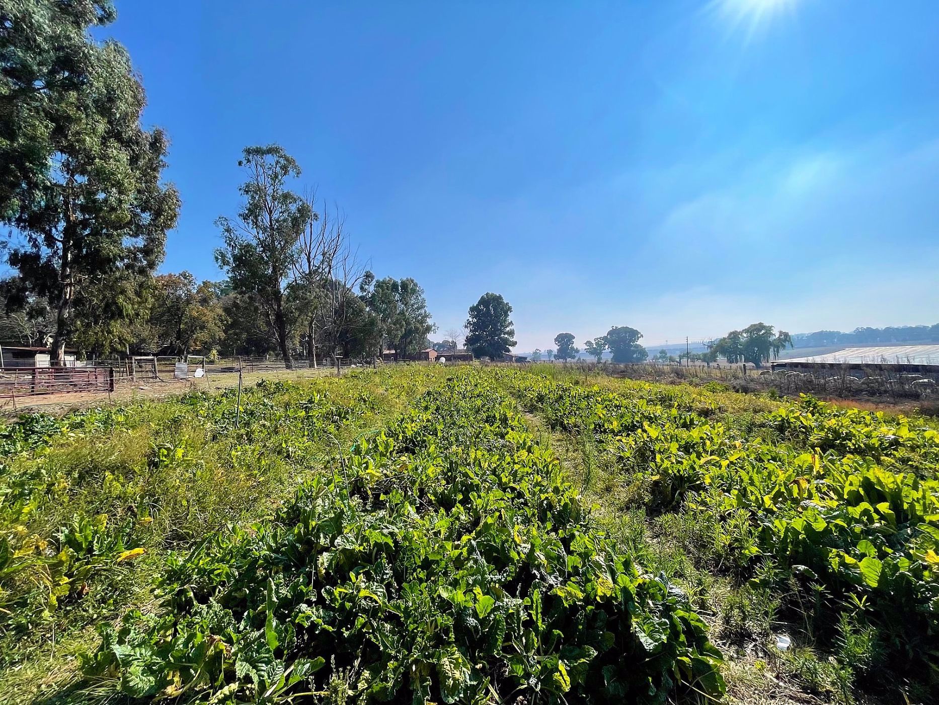 Smallholding for sale in Ermelo - 1EM1571417