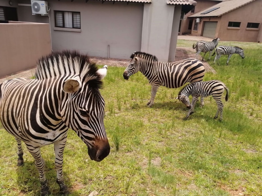 House for sale in Granite Hill  - 1NS1571542