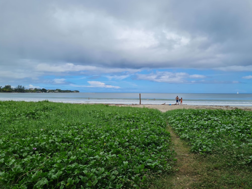 Apartment for sale in Mauritius - MUR1571865