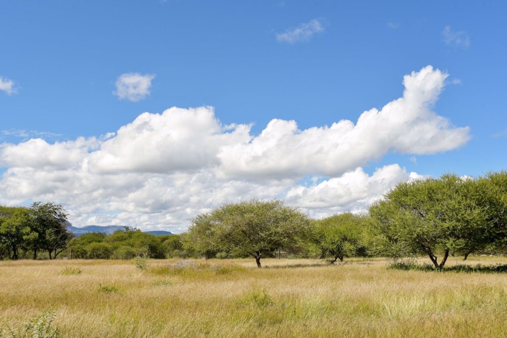 Vacant land for sale in Thabazimbi - 1ER1572221 Vacant land for sale in Thabazimbi - 1ER1572221