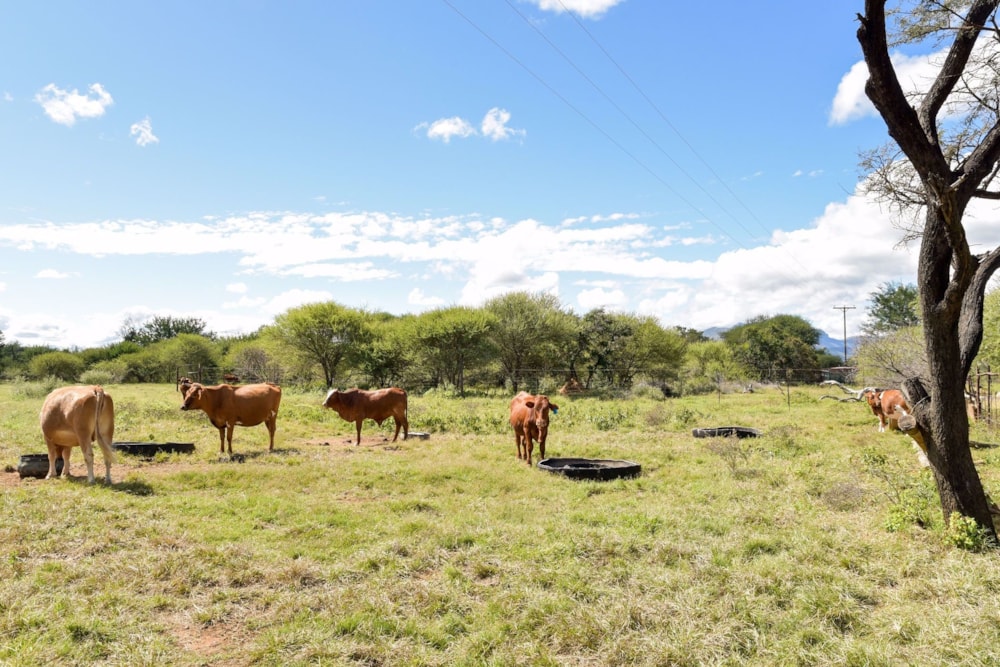 Vacant land for sale in Thabazimbi - 1ER1572221 Vacant land for sale in Thabazimbi - 1ER1572221