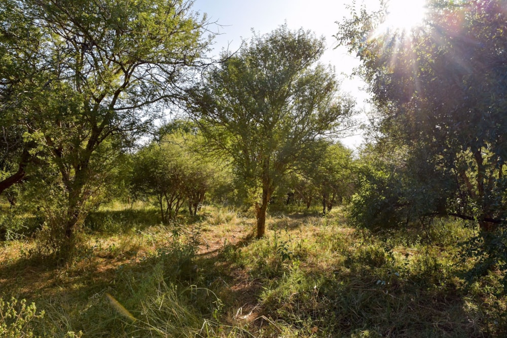 Vacant land for sale in Thabazimbi - 1ER1572221 Vacant land for sale in Thabazimbi - 1ER1572221