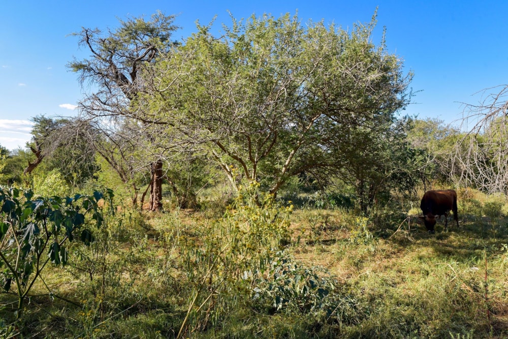 Vacant land for sale in Thabazimbi - 1ER1572221