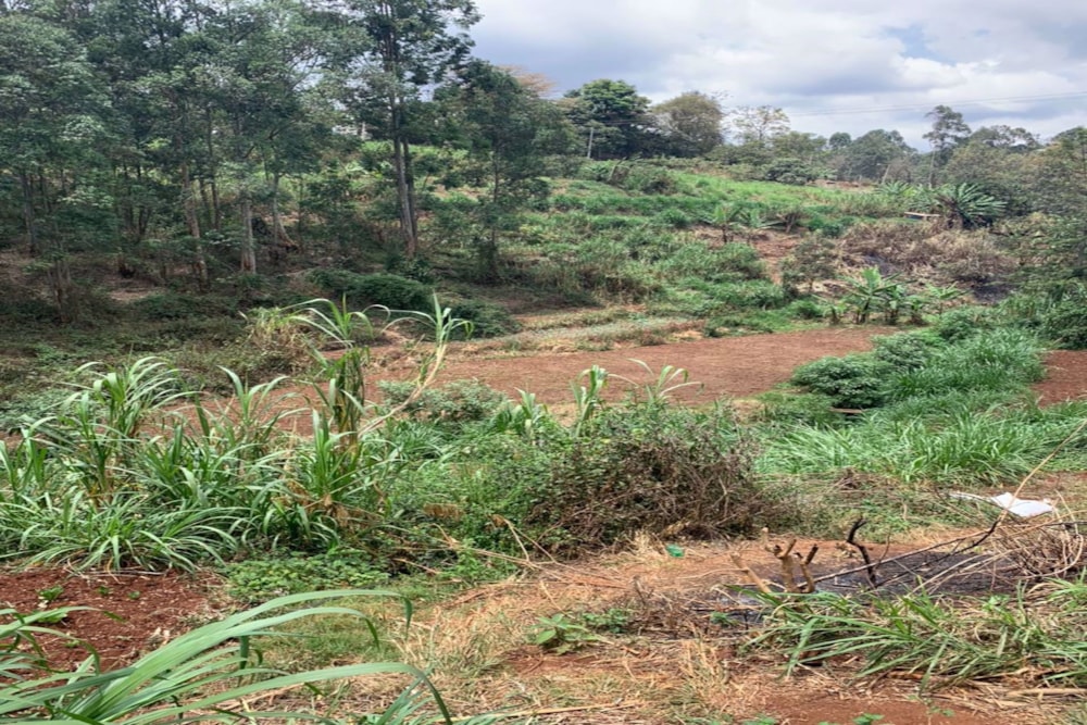 Residential vacant land for sale in Kitisuru, Kenya - 3KE1708866 Residential vacant land for sale in Kitisuru, Kenya - 3KE1708866