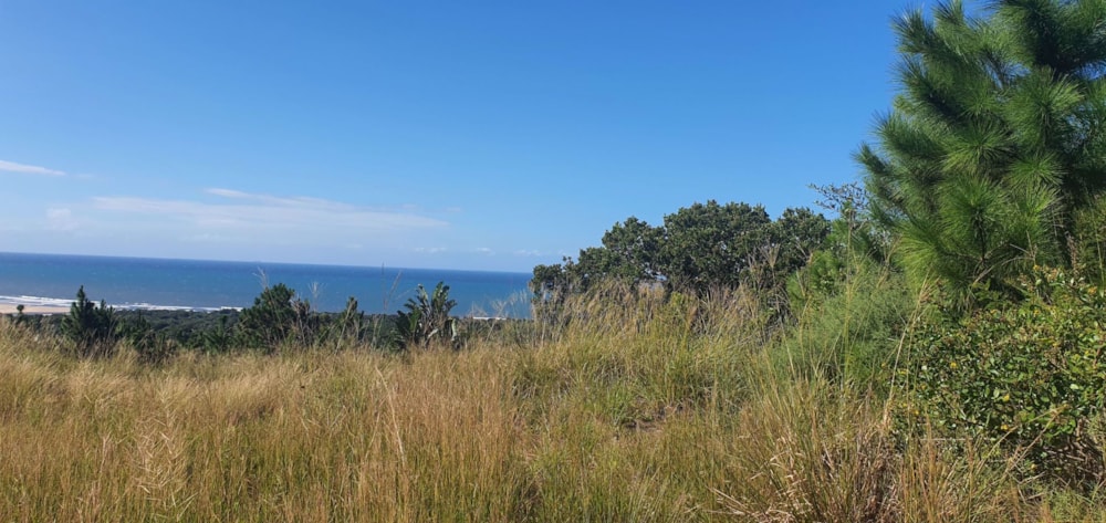 Vacant land for sale in Palm Beach - 1PD1031853 Vacant land for sale in Palm Beach - 1PD1031853