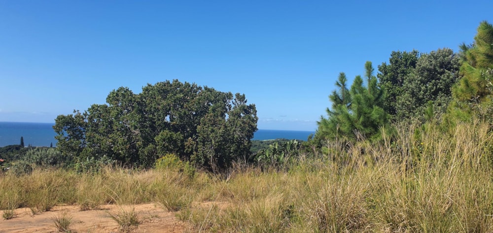 Vacant land for sale in Palm Beach - 1PD1031853 Vacant land for sale in Palm Beach - 1PD1031853