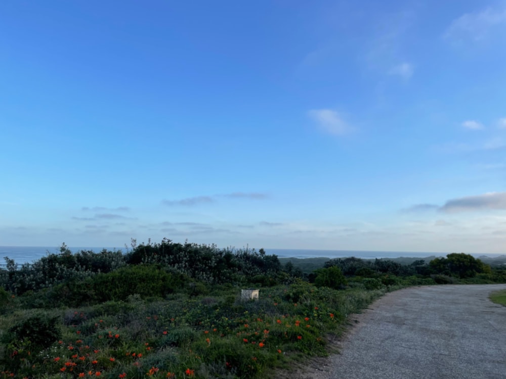 Vacant land for sale in Cannon Rocks - 1KO1723741 Vacant land for sale in Cannon Rocks - 1KO1723741