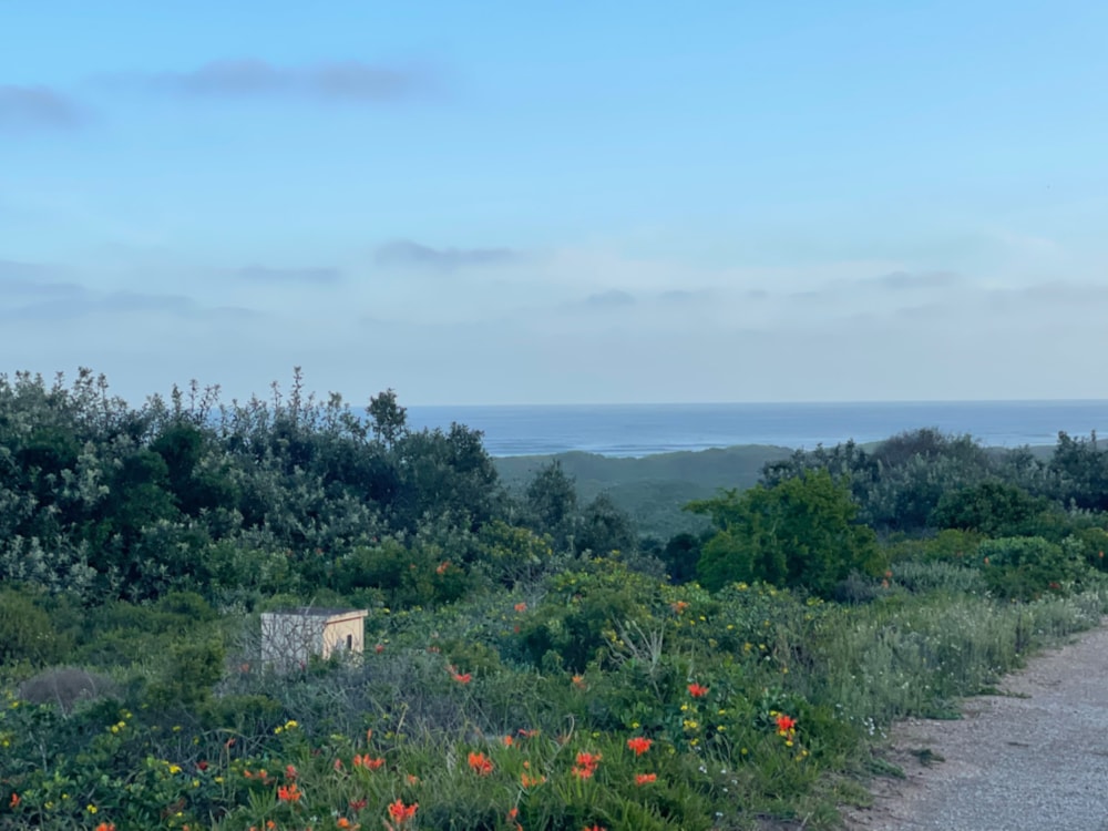 Vacant land for sale in Cannon Rocks - 1KO1723741 Vacant land for sale in Cannon Rocks - 1KO1723741