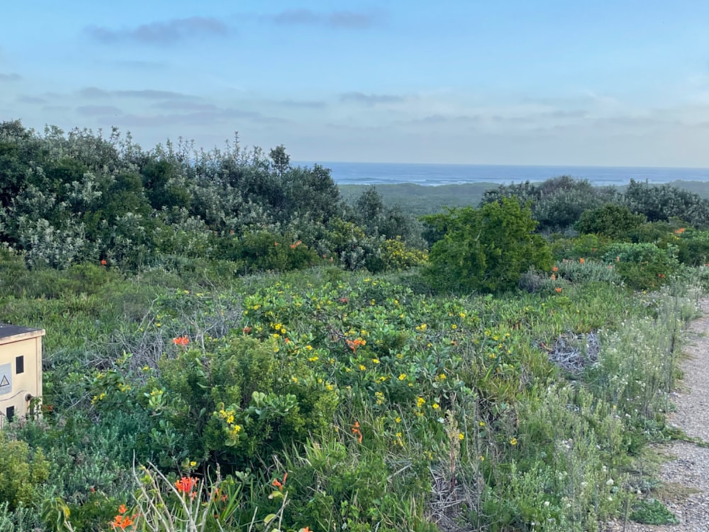 Vacant land for sale in Cannon Rocks - 1KO1723741 Vacant land for sale in Cannon Rocks - 1KO1723741