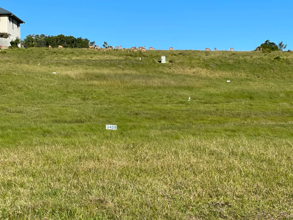 Vacant land for sale in Kenton Eco Estate - 1KO1741339