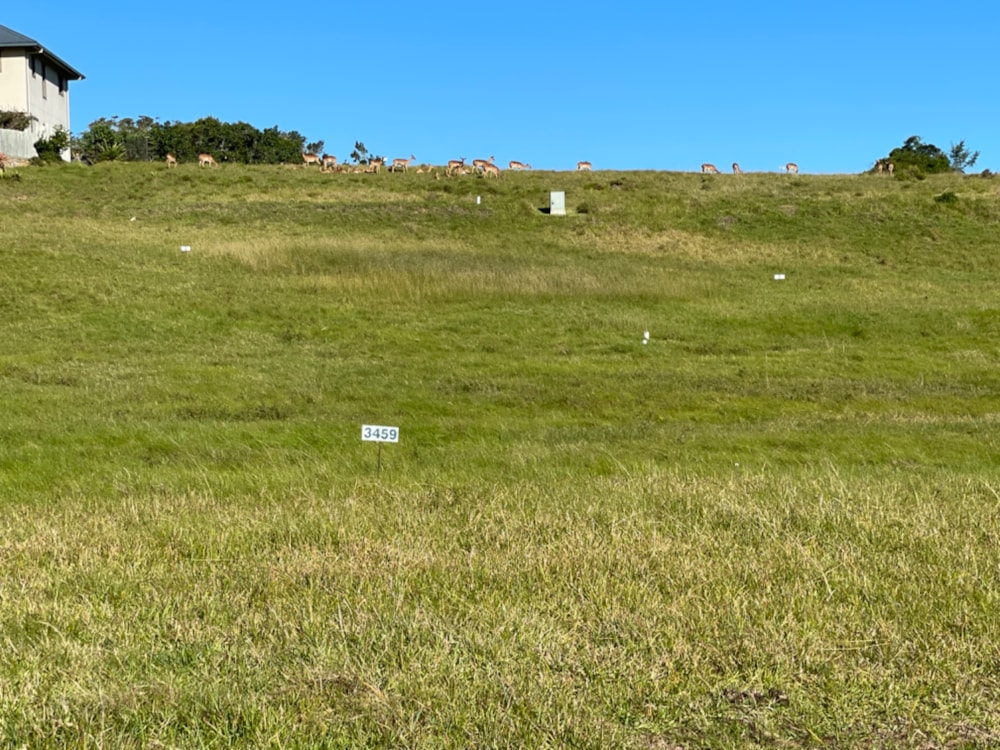 Vacant land for sale in Kenton Eco Estate - 1KO1741339 Vacant land for sale in Kenton Eco Estate - 1KO1741339