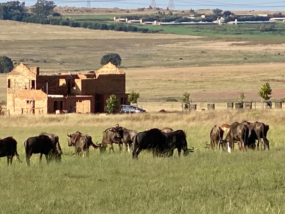 Residential vacant land for sale in Bronkhorstbaai - PRN1601267