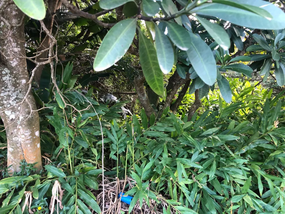 Residential vacant land for sale in Port Edward - 1PD1574254 Residential vacant land for sale in Port Edward - 1PD1574254