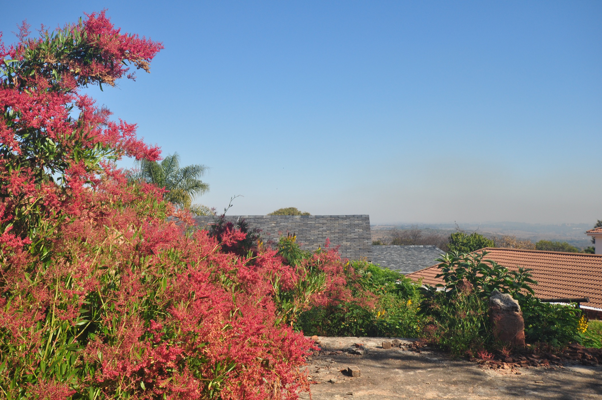 Residential vacant land for sale in Waterkloof Ridge - PT1623374