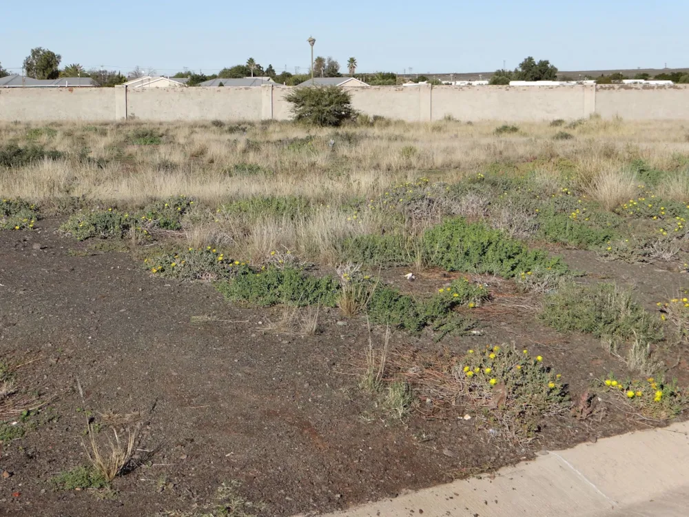 Commercial vacant land for sale in Hospital Hill, Beaufort West - 1KK1424918 Commercial vacant land for sale in Hospital Hill, Beaufort West - 1KK1424918