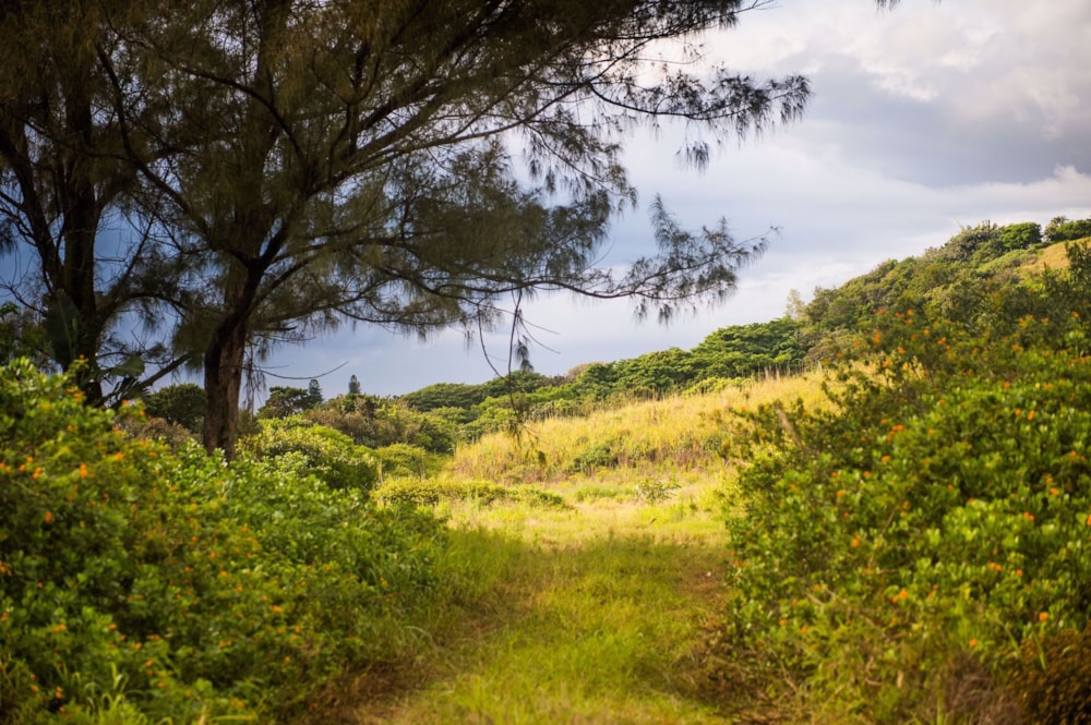 Residential vacant land for sale in Zululami Estate - 1BD1430205