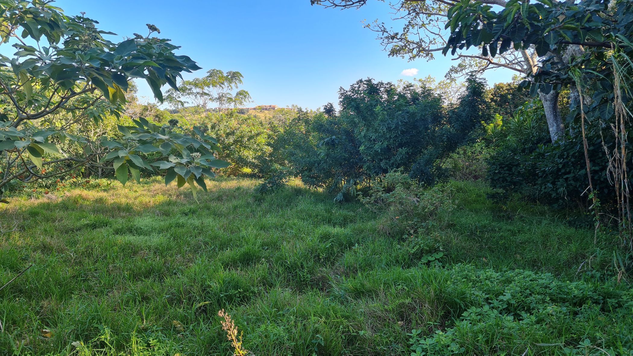 Residential vacant land for sale in Port Edward - 1PD1573946
