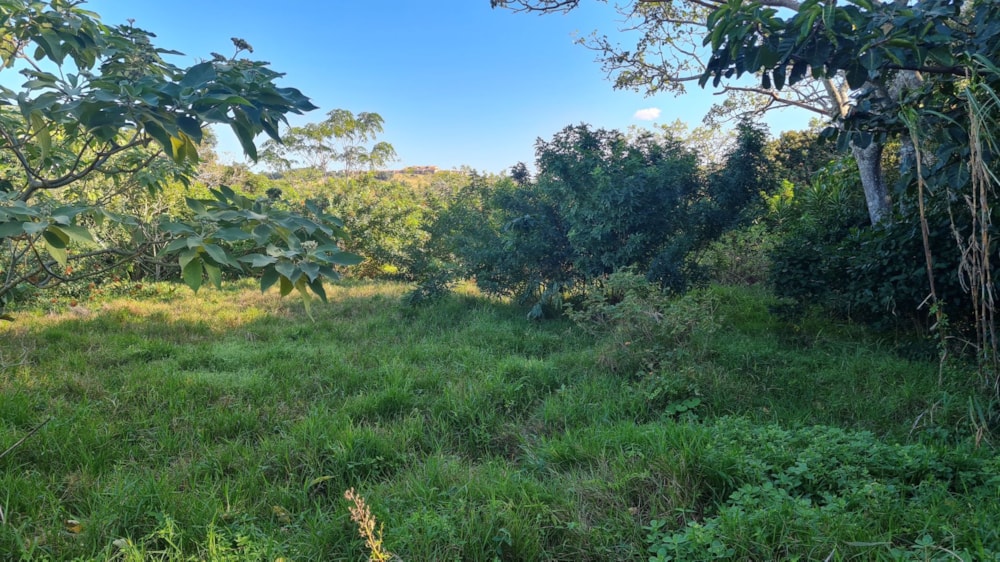 Residential vacant land for sale in Port Edward - 1PD1573946