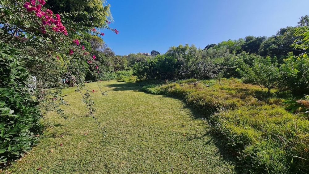 Residential vacant land for sale in Port Edward - 1PD1573946 Residential vacant land for sale in Port Edward - 1PD1573946