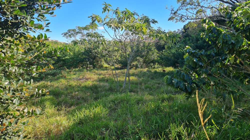 Residential vacant land for sale in Port Edward - 1PD1573946