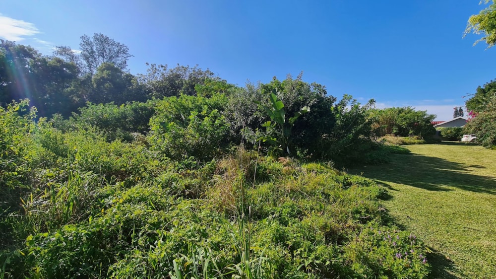 Residential vacant land for sale in Port Edward - 1PD1573946