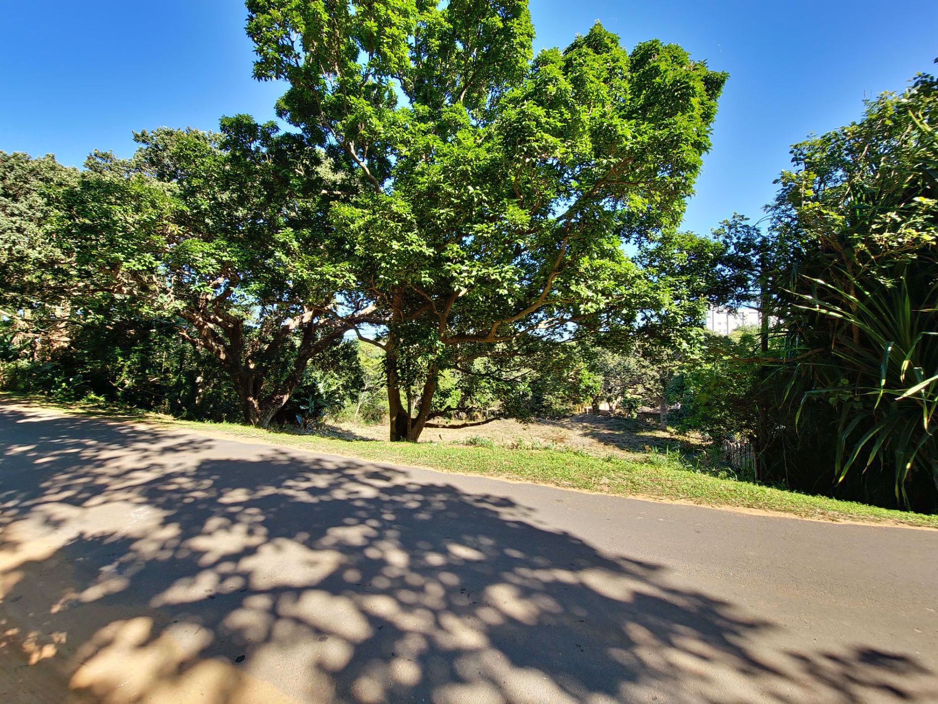 Residential vacant land for sale in Shelly Beach - 1PX1572045