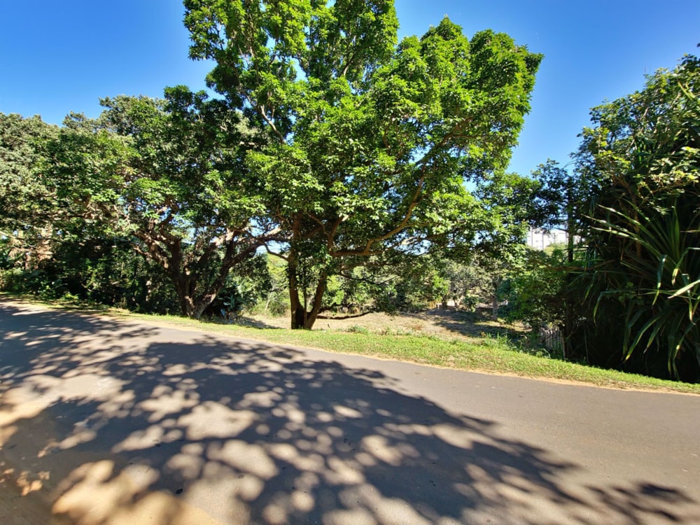 Residential vacant land for sale in Shelly Beach - 1PX1572045 Residential vacant land for sale in Shelly Beach - 1PX1572045