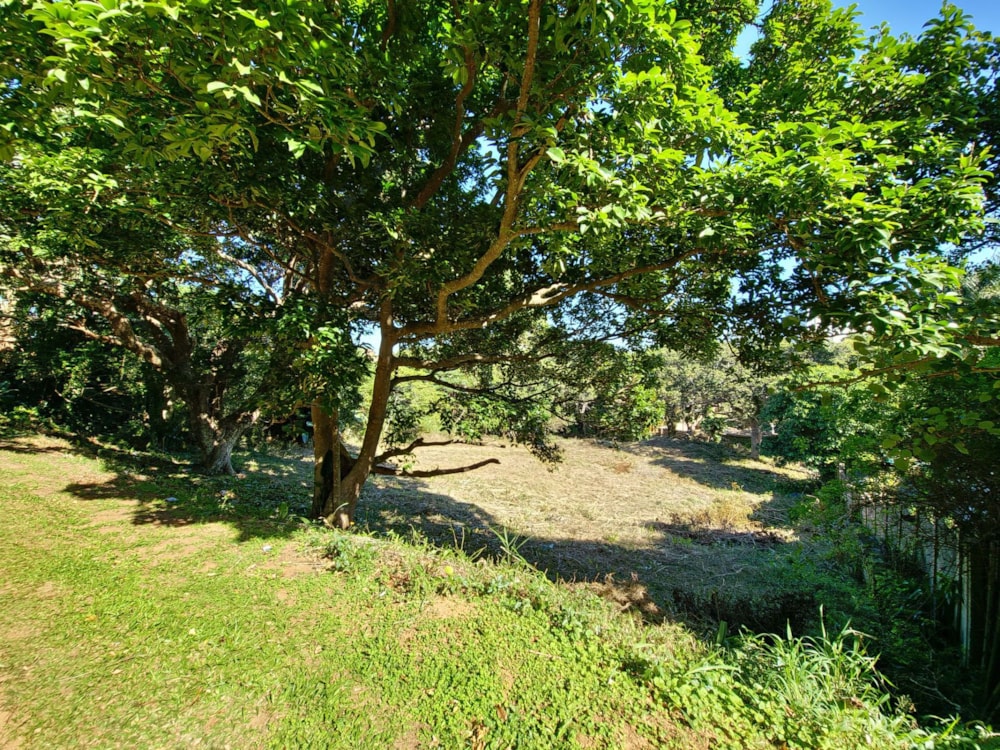 Residential vacant land for sale in Shelly Beach - 1PX1572045 Residential vacant land for sale in Shelly Beach - 1PX1572045