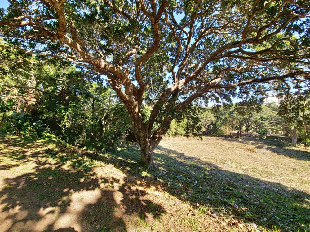 Residential vacant land for sale in Shelly Beach - 1PX1572045 Residential vacant land for sale in Shelly Beach - 1PX1572045