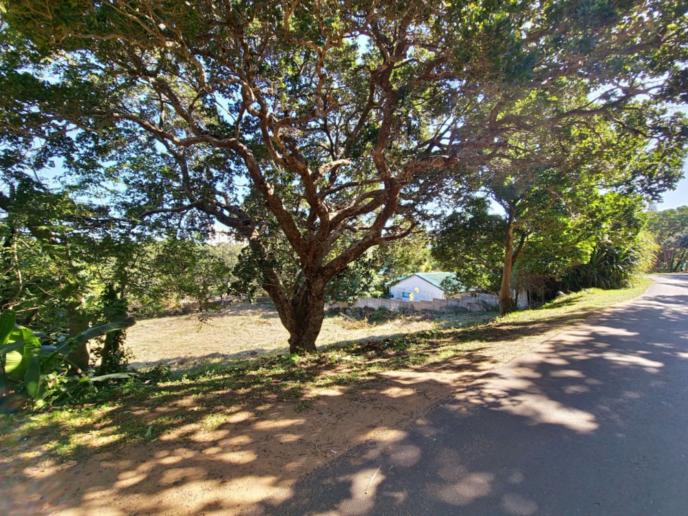 Residential vacant land for sale in Shelly Beach - 1PX1572045 Residential vacant land for sale in Shelly Beach - 1PX1572045
