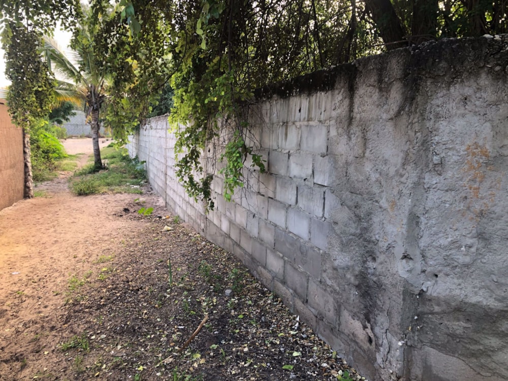 Vacant land for investment in Vilanculos, Mozambique - 3MQ1557077