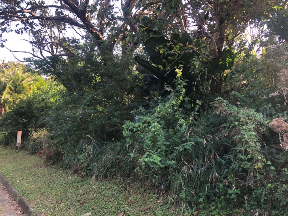 Residential vacant land for sale in Palm Beach - 1PD1563236 Residential vacant land for sale in Palm Beach - 1PD1563236