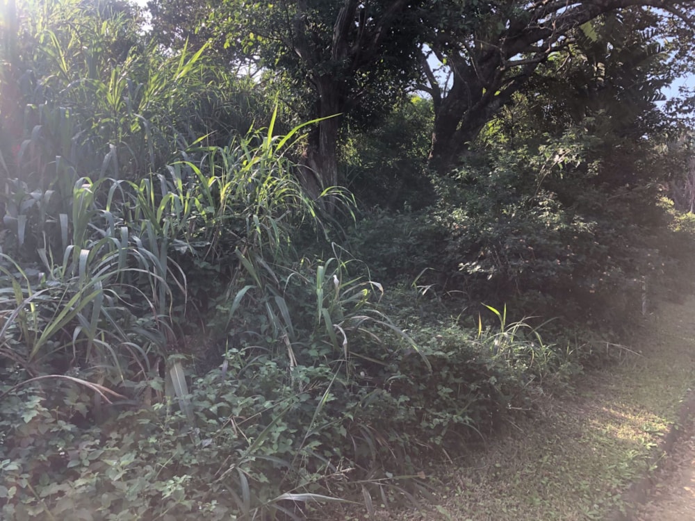 Residential vacant land for sale in Palm Beach - 1PD1563236 Residential vacant land for sale in Palm Beach - 1PD1563236