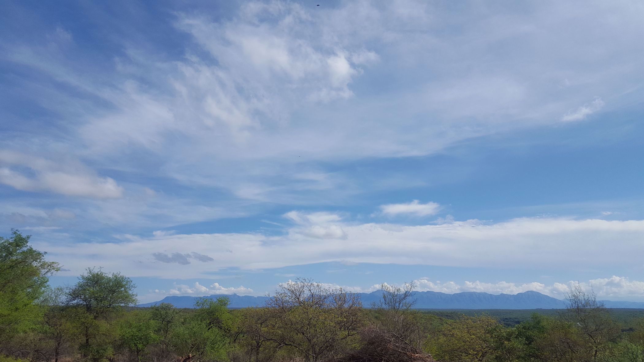 Vacant land for sale in Elephant Rock Eco Estate - 1HS1650518