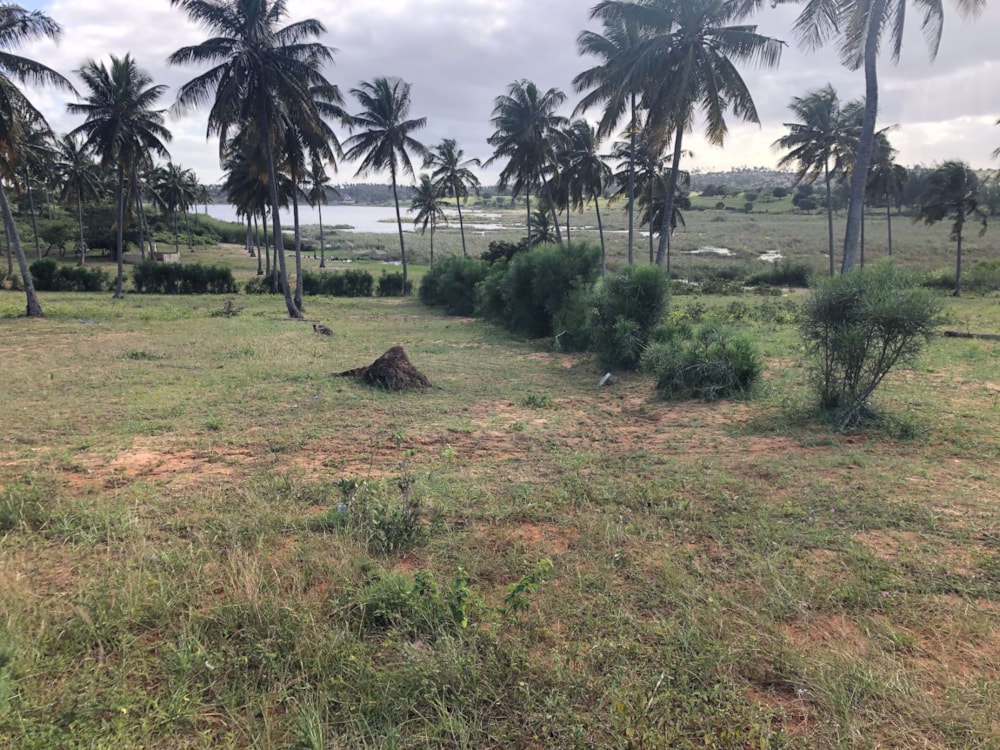 Vacant land for investment in Inhambane, Inhambane, Mozambique - 3MQ1571352