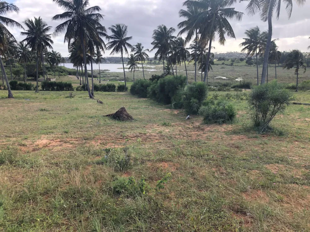 Vacant land for investment in Inhambane, Inhambane, Mozambique - 3MQ1571352 Vacant land for investment in Inhambane, Inhambane, Mozambique - 3MQ1571352