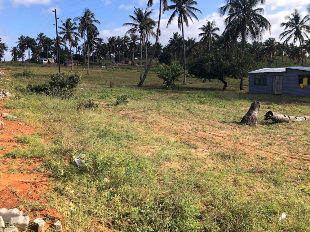 Vacant land for investment in Inhambane, Inhambane, Mozambique - 3MQ1571352