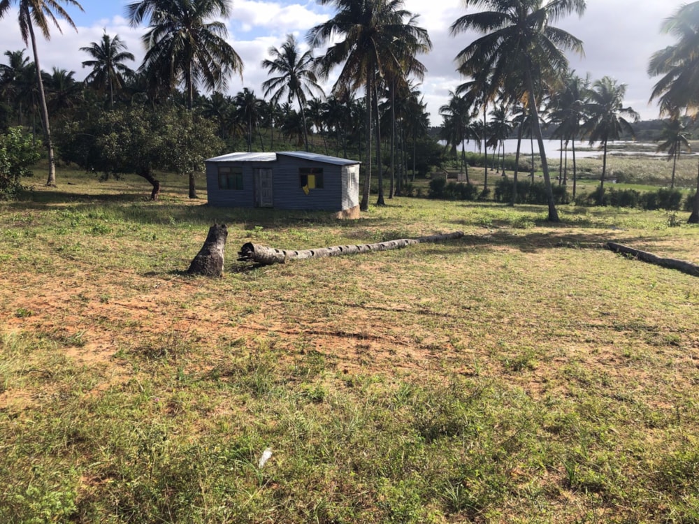 Vacant land for investment in Inhambane, Inhambane, Mozambique - 3MQ1571352
