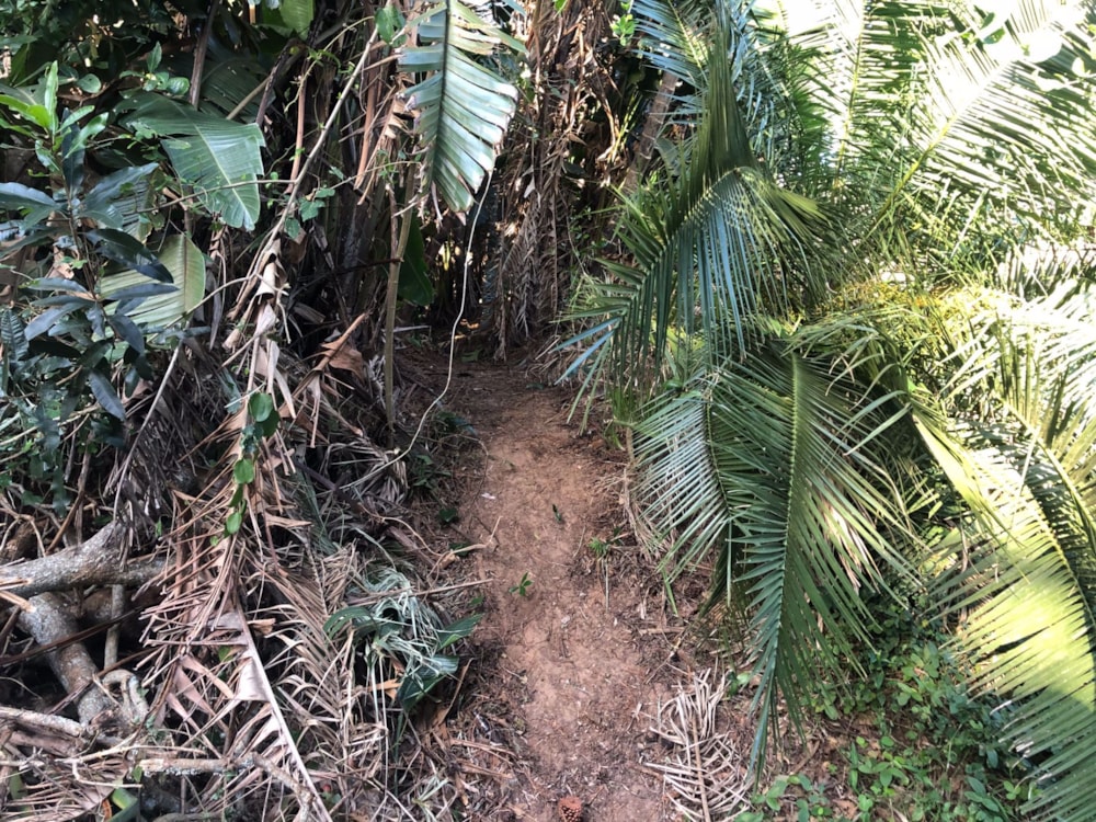 Residential vacant land for sale in Glenmore Beach - 1PD1571529 Residential vacant land for sale in Glenmore Beach - 1PD1571529