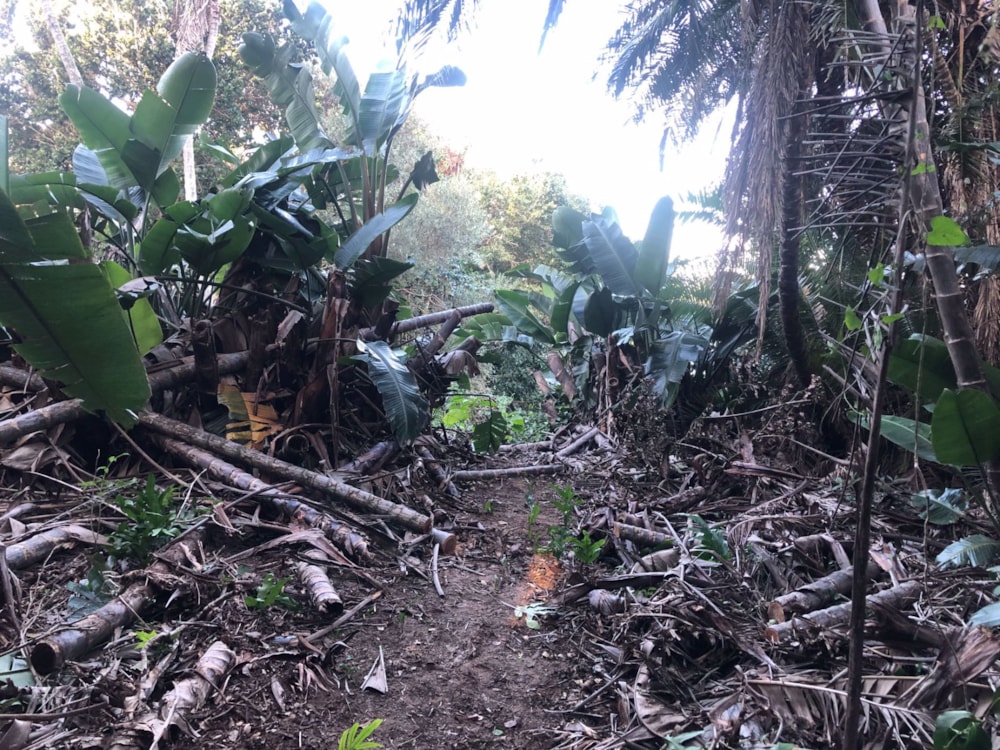 Residential vacant land for sale in Glenmore Beach - 1PD1571529