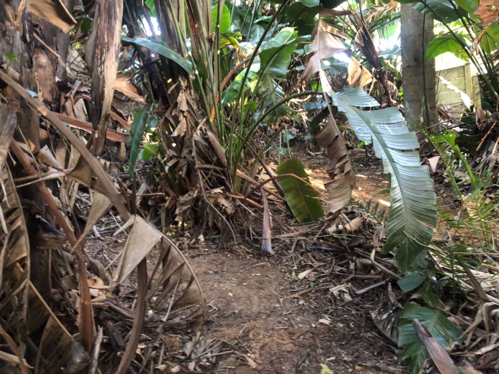 Residential vacant land for sale in Glenmore Beach - 1PD1571529