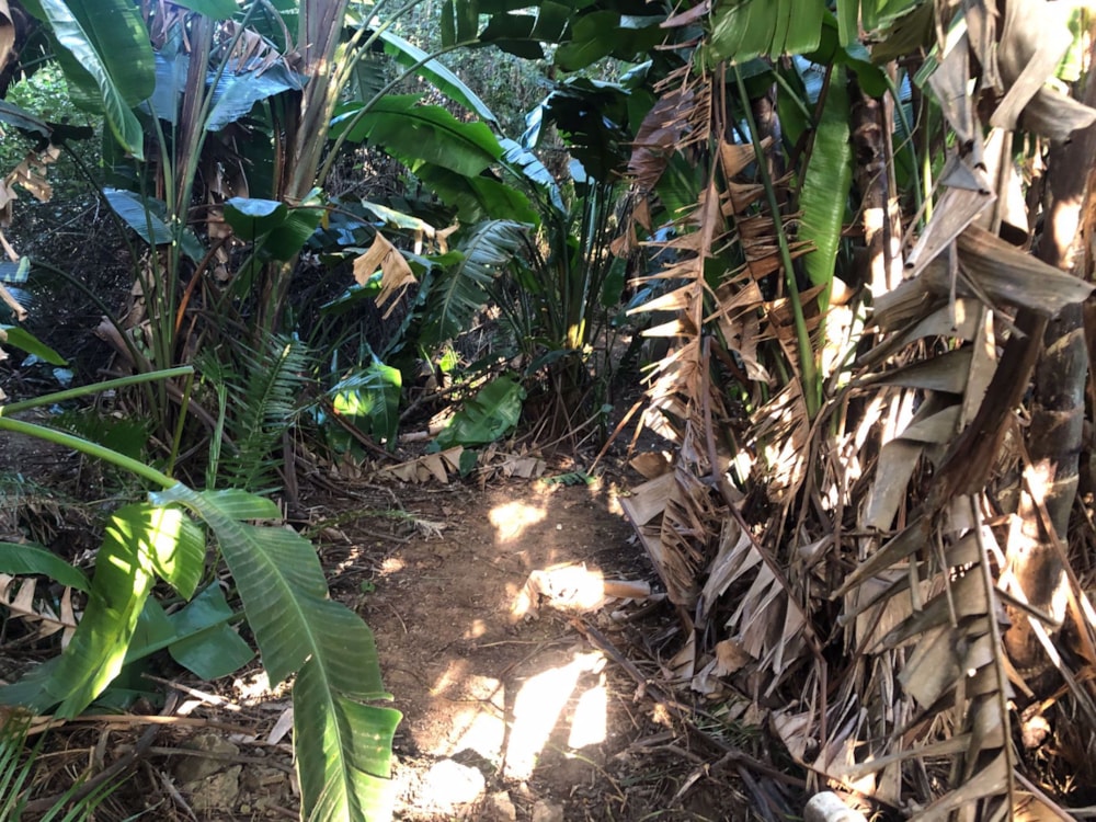 Residential vacant land for sale in Glenmore Beach - 1PD1571529 Residential vacant land for sale in Glenmore Beach - 1PD1571529