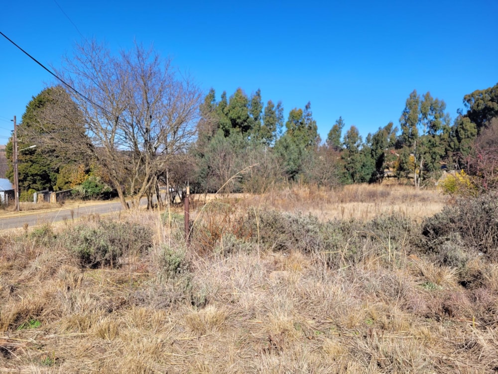Vacant land for sale in Dullstroom - 1DS1575687 Vacant land for sale in Dullstroom - 1DS1575687
