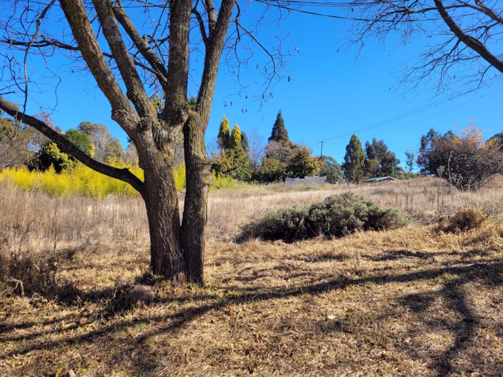 Vacant land for sale in Dullstroom - 1DS1575687 Vacant land for sale in Dullstroom - 1DS1575687