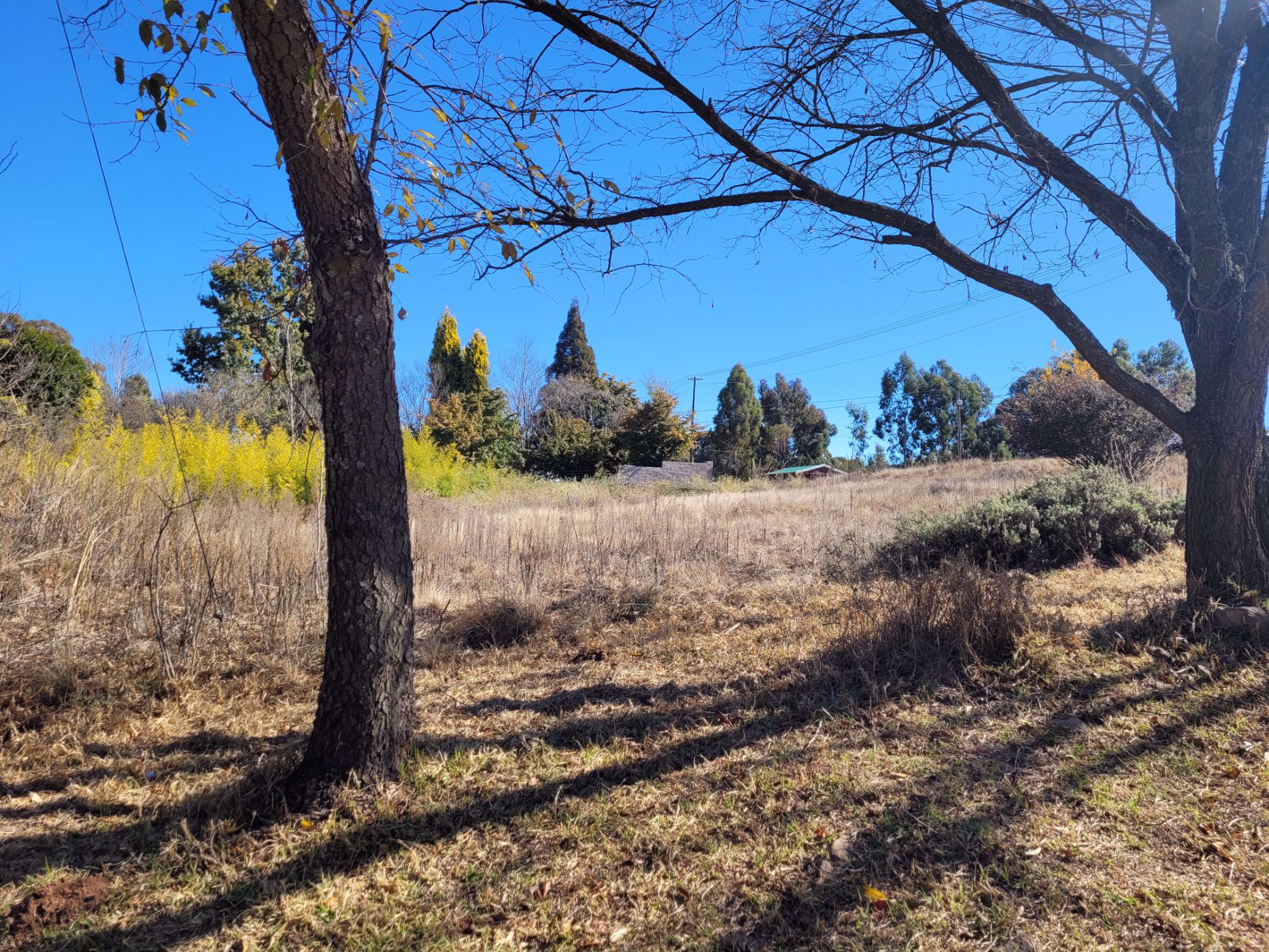 Vacant land for sale in Dullstroom - 1DS1575687