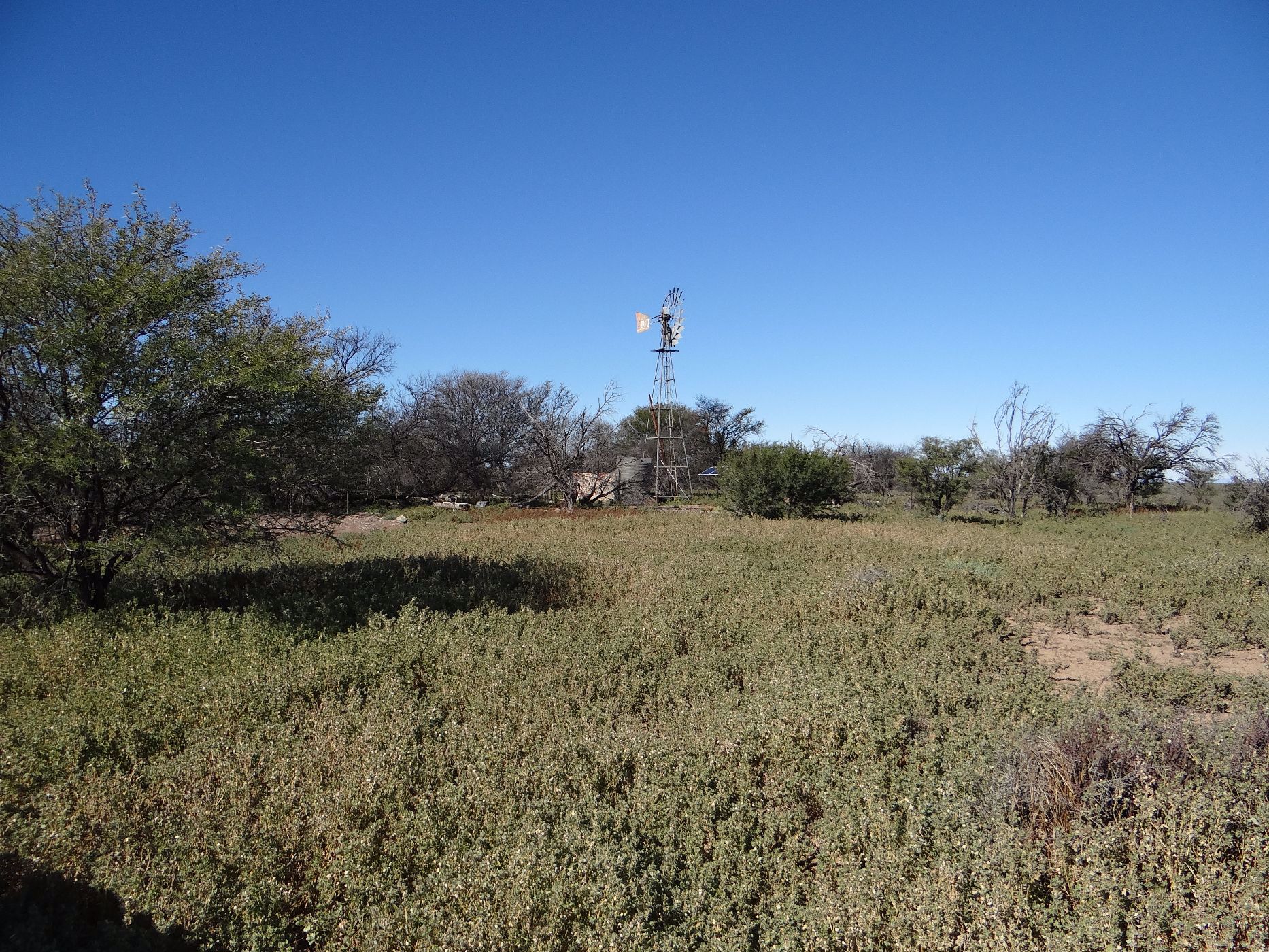 Livestock farm for sale in Beaufort West Rural - 1KK1572942