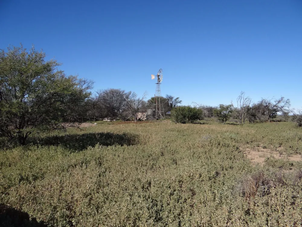 Livestock farm for sale in Beaufort West Rural - 1KK1572942 Livestock farm for sale in Beaufort West Rural - 1KK1572942