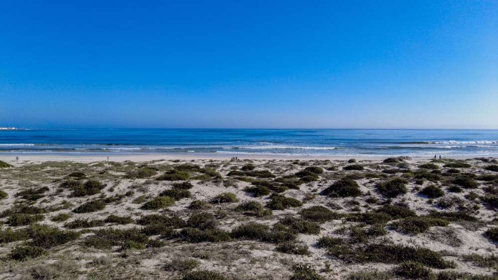 Apartment for sale in Elands Bay - LA1574186 Apartment for sale in Elands Bay - LA1574186